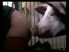 A farmer pursues the pig.
